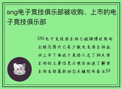 sng电子竞技俱乐部被收购、上市的电子竞技俱乐部